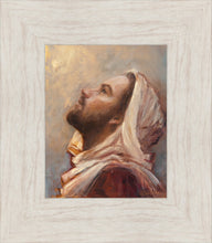 Load image into Gallery viewer, The Plea