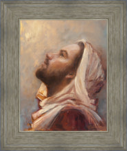 Load image into Gallery viewer, The Plea
