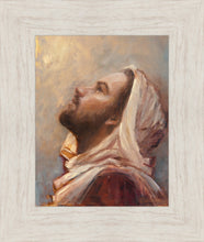 Load image into Gallery viewer, The Plea