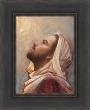 Load image into Gallery viewer, The Plea