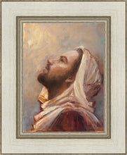 Load image into Gallery viewer, The Plea