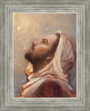 Load image into Gallery viewer, The Plea
