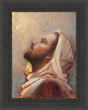 Load image into Gallery viewer, The Plea