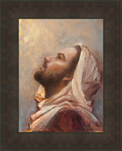 Load image into Gallery viewer, The Plea
