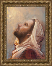 Load image into Gallery viewer, The Plea