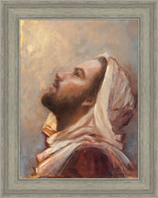 Load image into Gallery viewer, The Plea