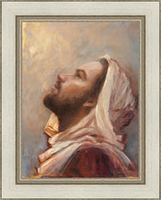 Load image into Gallery viewer, The Plea