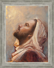 Load image into Gallery viewer, The Plea