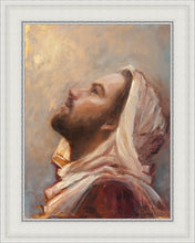 Load image into Gallery viewer, The Plea