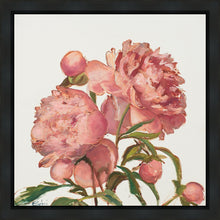 Load image into Gallery viewer, Peony Memories