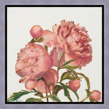 Load image into Gallery viewer, Peony Memories
