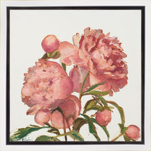 Load image into Gallery viewer, Peony Memories