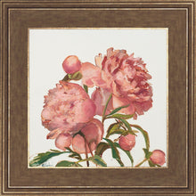 Load image into Gallery viewer, Peony Memories