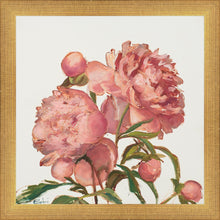 Load image into Gallery viewer, Peony Memories