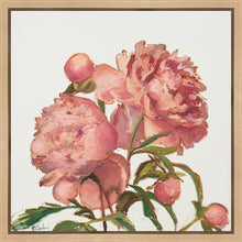 Load image into Gallery viewer, Peony Memories