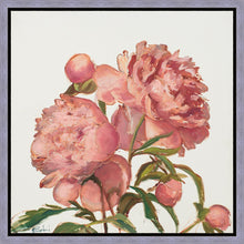 Load image into Gallery viewer, Peony Memories