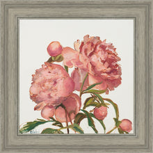 Load image into Gallery viewer, Peony Memories
