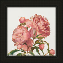 Load image into Gallery viewer, Peony Memories