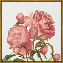 Load image into Gallery viewer, Peony Memories