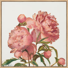 Load image into Gallery viewer, Peony Memories