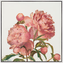 Load image into Gallery viewer, Peony Memories