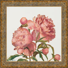 Load image into Gallery viewer, Peony Memories