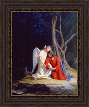 Load image into Gallery viewer, Gethsemane