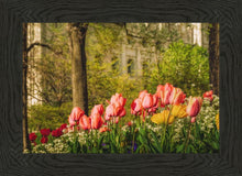 Load image into Gallery viewer, Salt Lake in the Garden