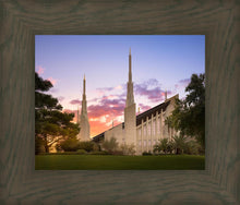 Load image into Gallery viewer, Las Vegas Desert Rose