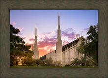 Load image into Gallery viewer, Las Vegas Desert Rose