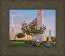 Load image into Gallery viewer, Boise Detail