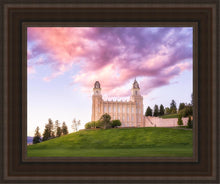 Load image into Gallery viewer, Manti Cotton Candy