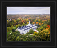 Load image into Gallery viewer, Palmyra and Sacred Grove Aerial