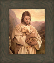 Load image into Gallery viewer, Lost Lamb