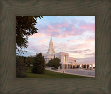 Load image into Gallery viewer, Bountiful Pastel Light