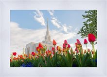 Load image into Gallery viewer, Ogden Flowers
