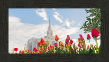 Load image into Gallery viewer, Ogden Flowers