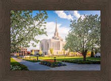 Load image into Gallery viewer, Ogden Grounds