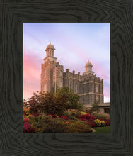 Load image into Gallery viewer, Logan Dawning of a New Day