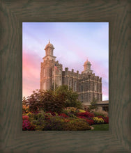 Load image into Gallery viewer, Logan Dawning of a New Day
