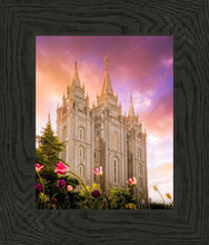 Load image into Gallery viewer, Salt Lake Tulips