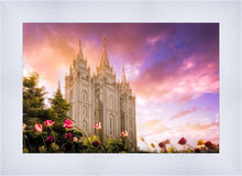 Load image into Gallery viewer, Salt Lake Tulips