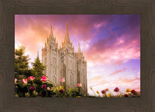 Load image into Gallery viewer, Salt Lake Tulips