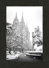 Load image into Gallery viewer, Salt Lake White Christmas
