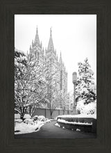 Load image into Gallery viewer, Salt Lake White Christmas