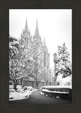 Load image into Gallery viewer, Salt Lake White Christmas