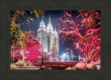 Load image into Gallery viewer, Salt Lake City Christmas Lights