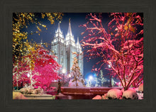 Load image into Gallery viewer, Salt Lake City Christmas Lights