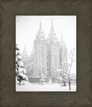 Load image into Gallery viewer, Salt Lake City High Key Snow