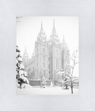 Load image into Gallery viewer, Salt Lake City High Key Snow